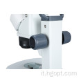 Microscopio a testa binoculare con interruttore a dimmer